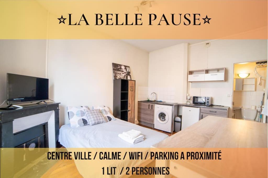La Belle Pause - Studio Auxerre Proche Parking Екстериор снимка